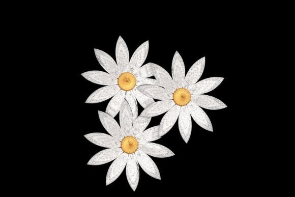 Elegant Daisy Flowers: A Designer’s Review for Personalized Gifts