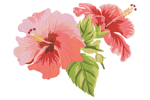 Red Hibiscus Flowers: A Designer’s Review for Boutique Sweatshirts